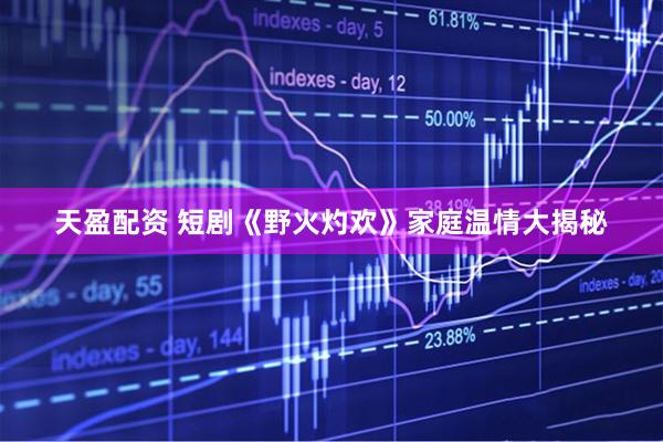 天盈配资 短剧《野火灼欢》家庭温情大揭秘