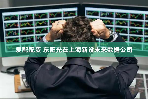 爱配配资 东阳光在上海新设未来数据公司