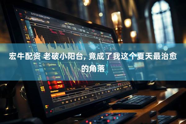 宏牛配资 老破小阳台, 竟成了我这个夏天最治愈的角落