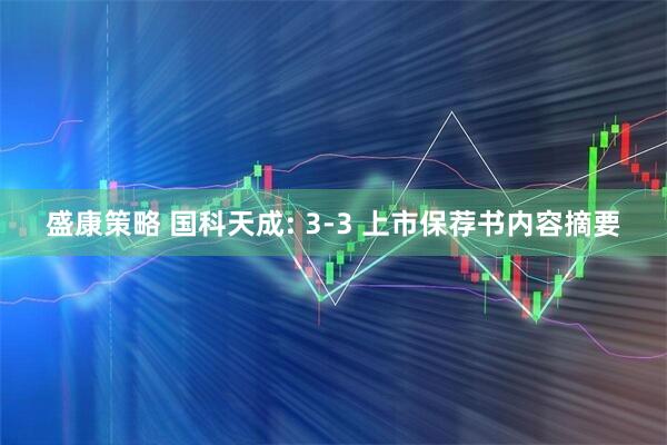 盛康策略 国科天成: 3-3 上市保荐书内容摘要